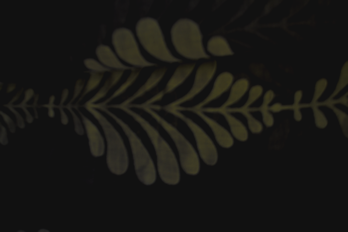 tume, hallikas-lilla